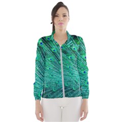 Green And Blue Peafowl Peacock Animal Color Brightly Colored Women s Windbreaker by uniart180623