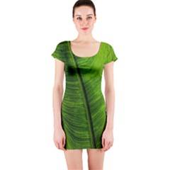 Green-leaf-plant-freshness-color Short Sleeve Bodycon Dress by Bedest