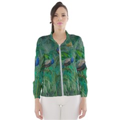 Peacock Paradise Jungle Women s Windbreaker by Bedest