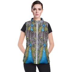 Peacock-feathers2 Women s Puffer Vest by nateshop
