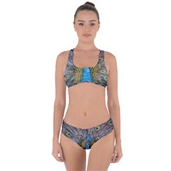 Peacock-feathers2 Criss Cross Bikini Set by nateshop