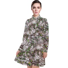 Climbing Plant At Outdoor Wall Long Sleeve Chiffon Shirt Dress by dflcprintsclothing