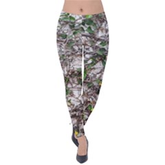 Climbing Plant At Outdoor Wall Velvet Leggings by dflcprintsclothing