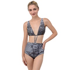 Nature s Resilience: Tierra Del Fuego Forest, Argentina Tied Up Two Piece Swimsuit by dflcprintsclothing