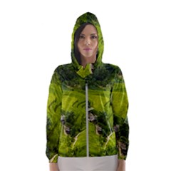 Apartment Curve Path Step Women s Hooded Windbreaker by Sarkoni