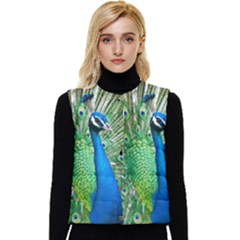 Peafowl Peacock Women s Button Up Puffer Vest by Sarkoni