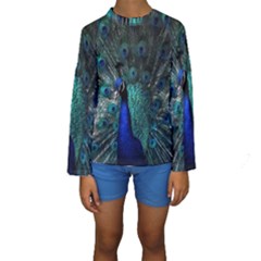 Blue And Green Peacock Kids  Long Sleeve Swimwear by Sarkoni