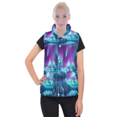 Lake Aurora Borealis Women s Button Up Vest by Ndabl3x