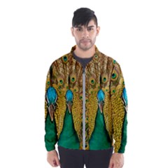 Peacock Feather Bird Peafowl Men s Windbreaker by Cemarart