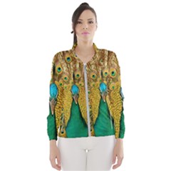 Peacock Feather Bird Peafowl Women s Windbreaker by Cemarart