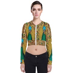 Peacock Feather Bird Peafowl Long Sleeve Zip Up Bomber Jacket by Cemarart