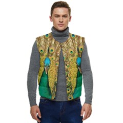 Peacock Feather Bird Peafowl Men s Button Up Puffer Vest	 by Cemarart