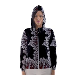 Abstract Complex Fractal Math Women s Hooded Windbreaker by Bedest