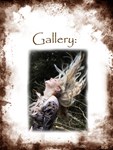 Galleries of Modelling Images