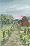 Amish Apple Blossoms 