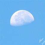 September Moon