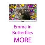More Emma in Butterflies, Gray Tabby Kitten