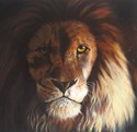 Awesome Lion