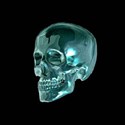 skull graphic