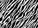 Zebra Skin 1