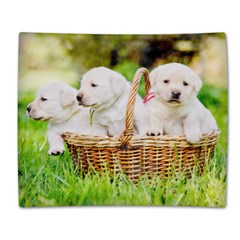 Double Sided Flano Blanket (Large)  Icon