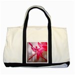 Christmas Cactus And Two Glasses2700x2100 Two Tone Tote Bag
