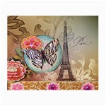 Fuschia Flowers Butterfly Eiffel Tower Vintage Paris Fashion Glasses Cloth (Small, Two Sided) Front