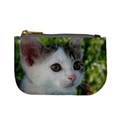 Young Cat Coin Change Purse by Siebenhuehner
