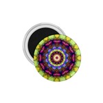 Rainbow Glass 1.75  Button Magnet