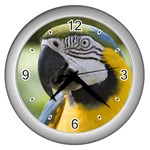 Handsome Parrot Wall Clock (Silver)