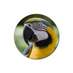 Handsome Parrot Rubber Round Coaster (4 pack)