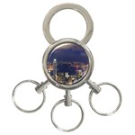 IMG_1422 3-Ring Key Chain