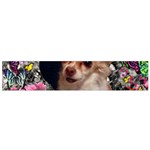 Chi Chi In Butterflies, Chihuahua Dog In Cute Hat Flano Scarf (Small)