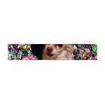 Chi Chi In Butterflies, Chihuahua Dog In Cute Hat Flano Scarf (Mini)