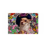 Chi Chi In Butterflies, Chihuahua Dog In Cute Hat Satin Wrap
