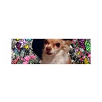 Chi Chi In Butterflies, Chihuahua Dog In Cute Hat Satin Scarf (Oblong)