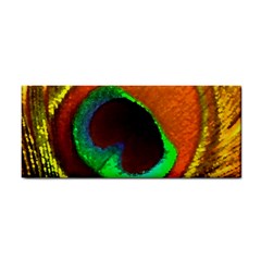 Peacock Feather Eye Cosmetic Storage Cases by Nexatart