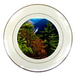 South View Pa Grand Canyon  Pine Creek  Gorge   By Ave Hurley (14) Porcelain Plate