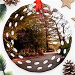 Leo Harrison St Pk  Path 2 Round Filigree Ornament (Two Sides)