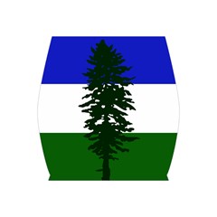 Flag Of Cascadia Bodycon Skirt by abbeyz71