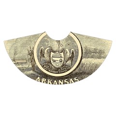 State Seal Of Arkansas, 1853 Velvet Skater Skirt by abbeyz71