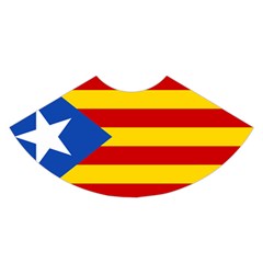 Blue Estelada Catalan Independence Flag A-line Skirt by abbeyz71