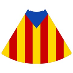 Blue Estelada Catalan Independence Flag Flared Maxi Skirt by abbeyz71