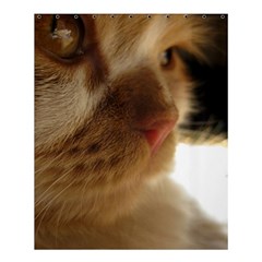 Cute Cat Face Shower Curtain 60  X 72  (medium)  by LoolyElzayat