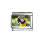 Parrot Italian Charm (9mm)