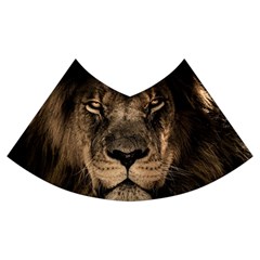 African Lion Wildcat Mane Closeup Velvet Flared Midi Skirt by Sudhe