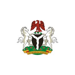 Flag Of Nigeria  Shower Curtain 48  X 72  (small)  by abbeyz71