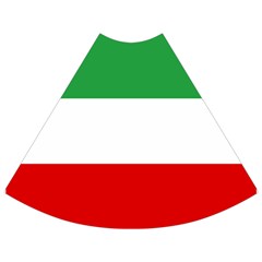 Flag Of Iran (1964–1980) Flared Maxi Skirt by abbeyz71