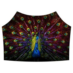 Beautiful Peacock Feather Summer Cropped Co-ord Set by Jancukart
