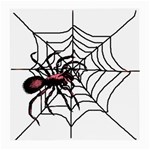 Spider in web Glasses Cloth (Medium)